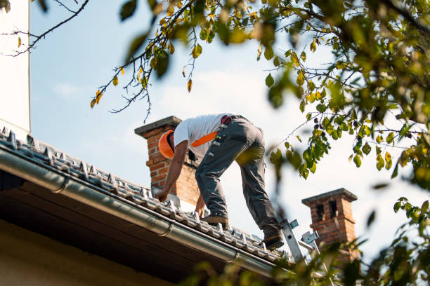 Best Flat Roof Repair Services  in Clinton, IL
