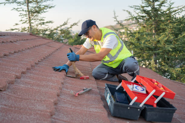 Best Sealant for Roof  in Clinton, IL