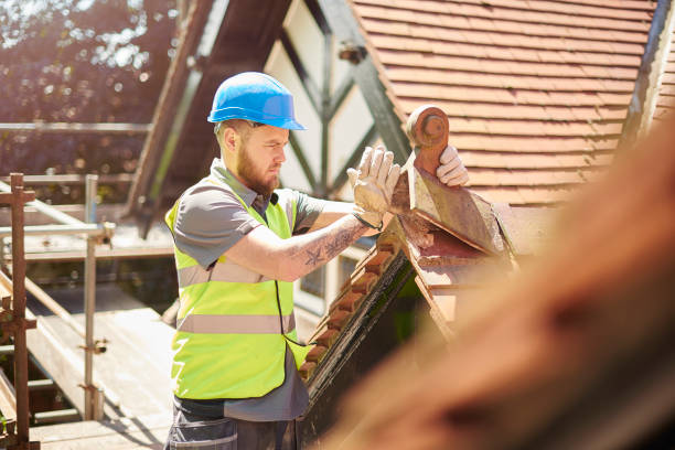 Roof Gutter Cleaning in Clinton, IL