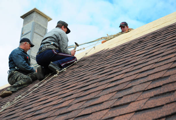 Best Metal Roofing Contractor  in Clinton, IL
